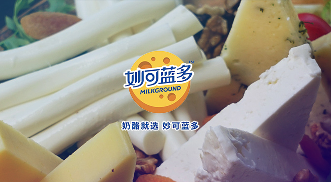 零嘴奇境市場營銷策劃