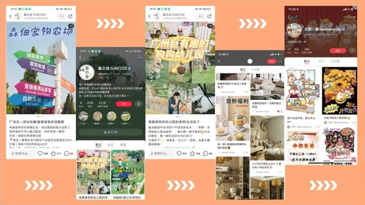 品牌影響力