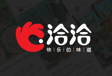 洽洽