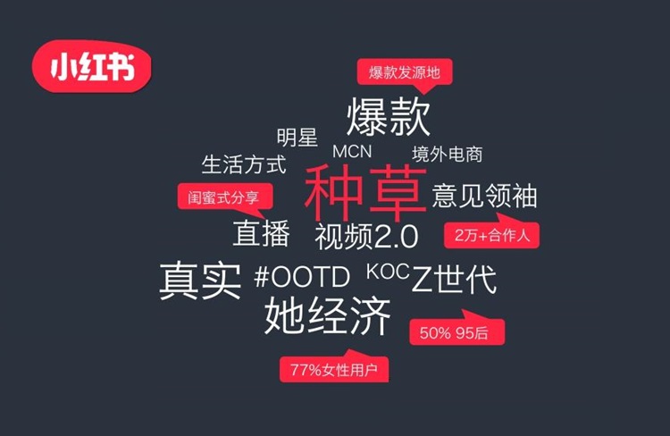 恪爾品牌管理