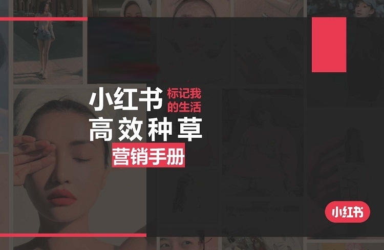 恪爾品牌管理