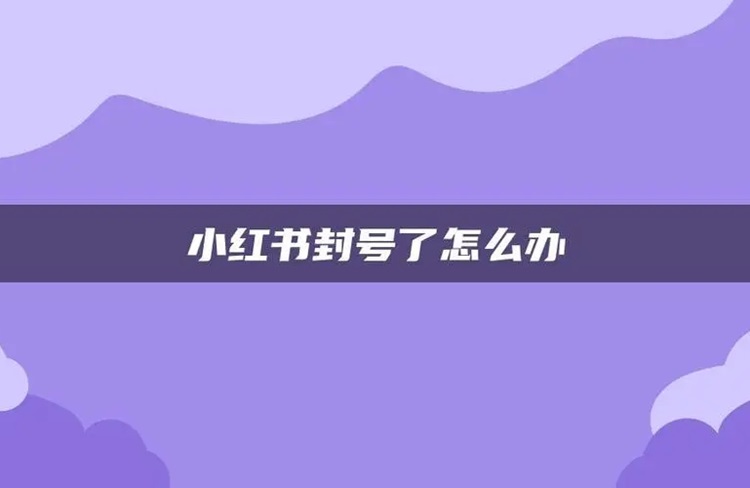 小紅書被封號？別擔(dān)心，送你一份解封指南！-恪爾品牌管理