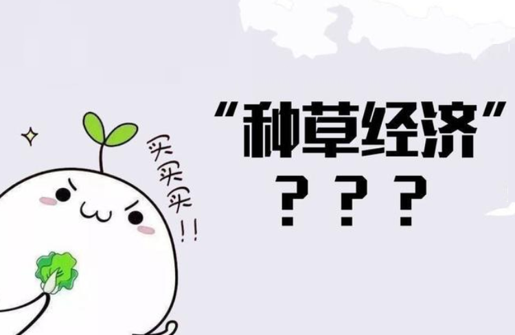 小紅書(shū)種草經(jīng)濟(jì)亂象整治，以后廣告會(huì)被打上標(biāo)簽！-恪爾品牌管理