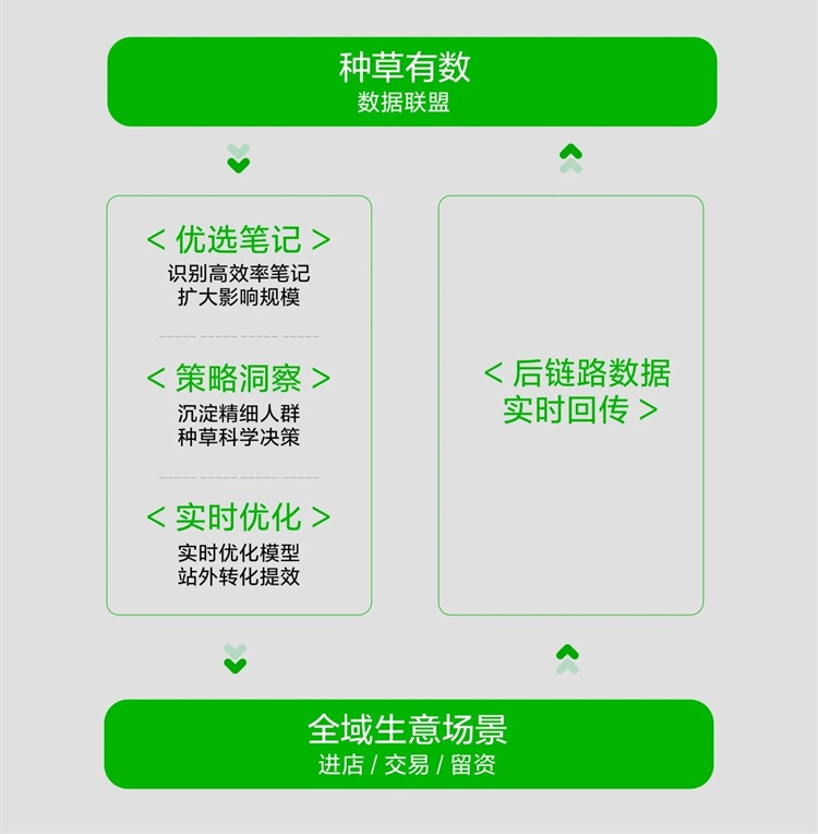 小紅書2024