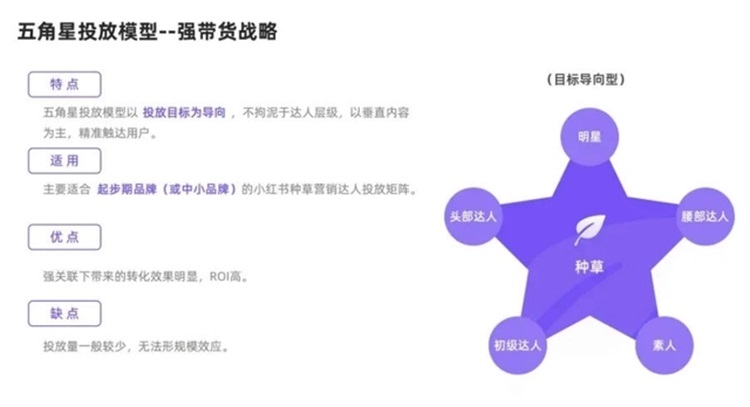 五角星投放模型