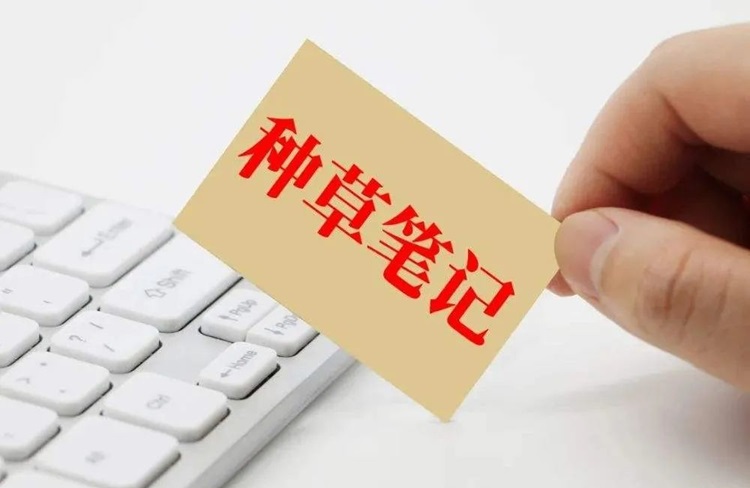 小紅書代運(yùn)營(yíng)