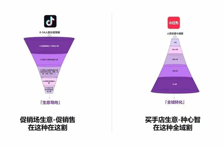小紅書抖音